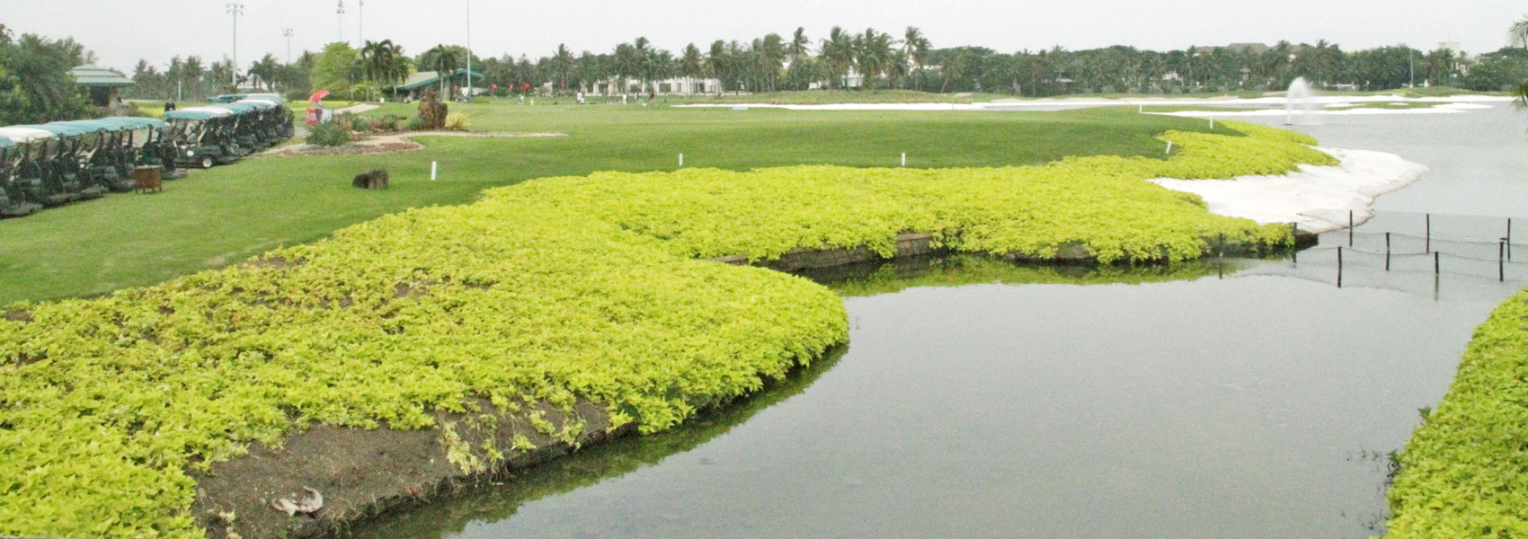 Damai Indah Golf PIK Jakarta